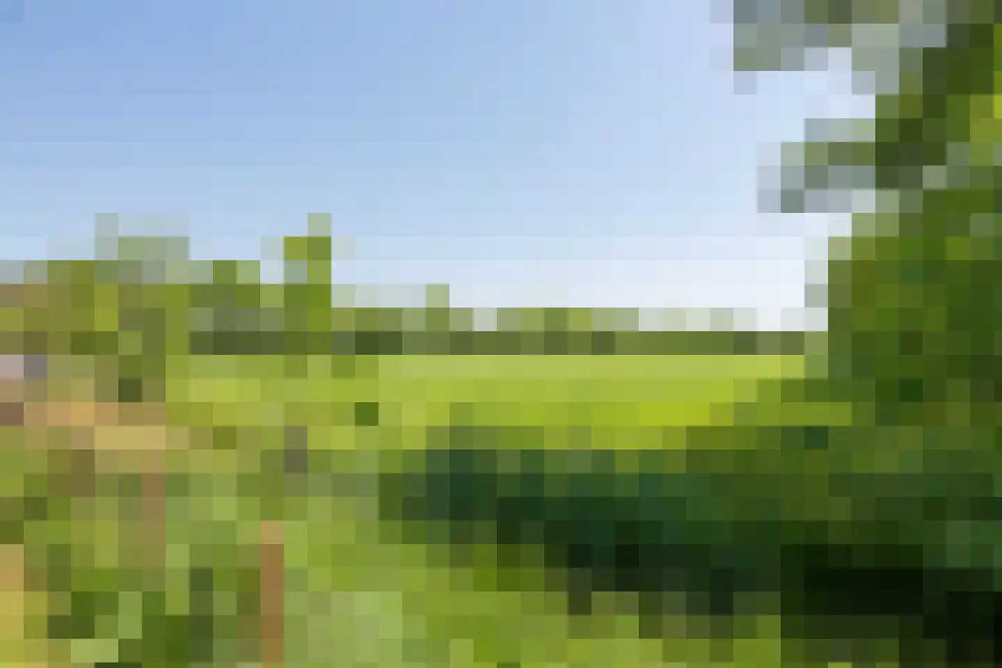 Foudenswei 26 Rottevalle thumbnail 52