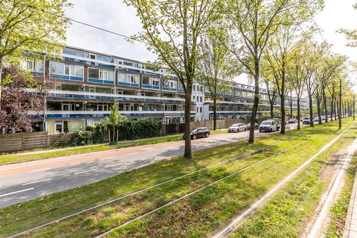 Foulkeslaan 39 in Delft foto