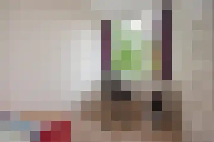 Foulkeslaan 42 Delft thumbnail 11
