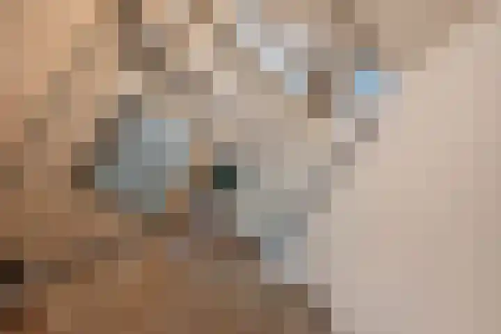 Foulkeslaan 42 Delft thumbnail 14