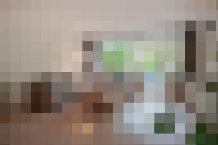 Foulkeslaan 42 Delft thumbnail 16