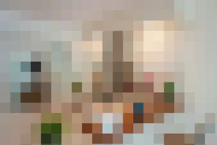 Foulkeslaan 42 Delft thumbnail 20