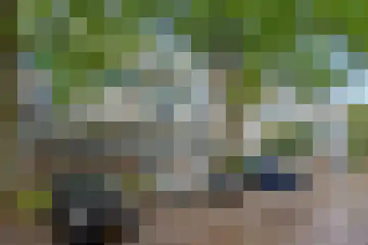 Foulkeslaan 42 Delft thumbnail 5