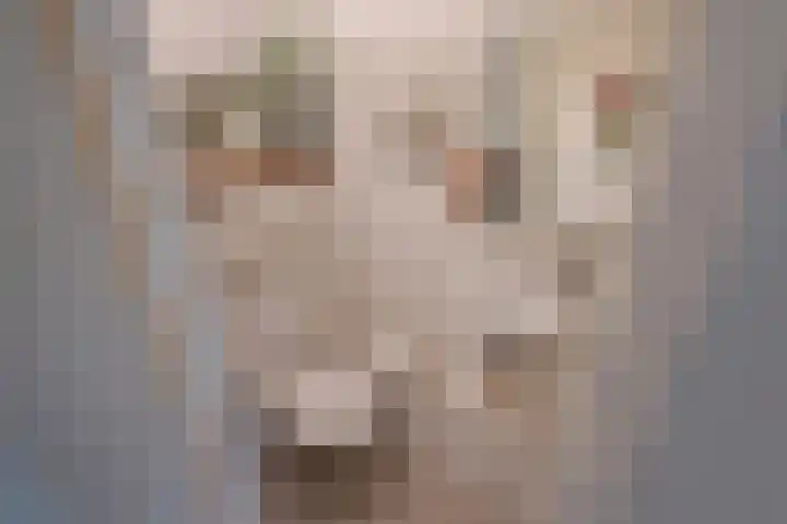 Foulkeslaan 42 Delft thumbnail 9