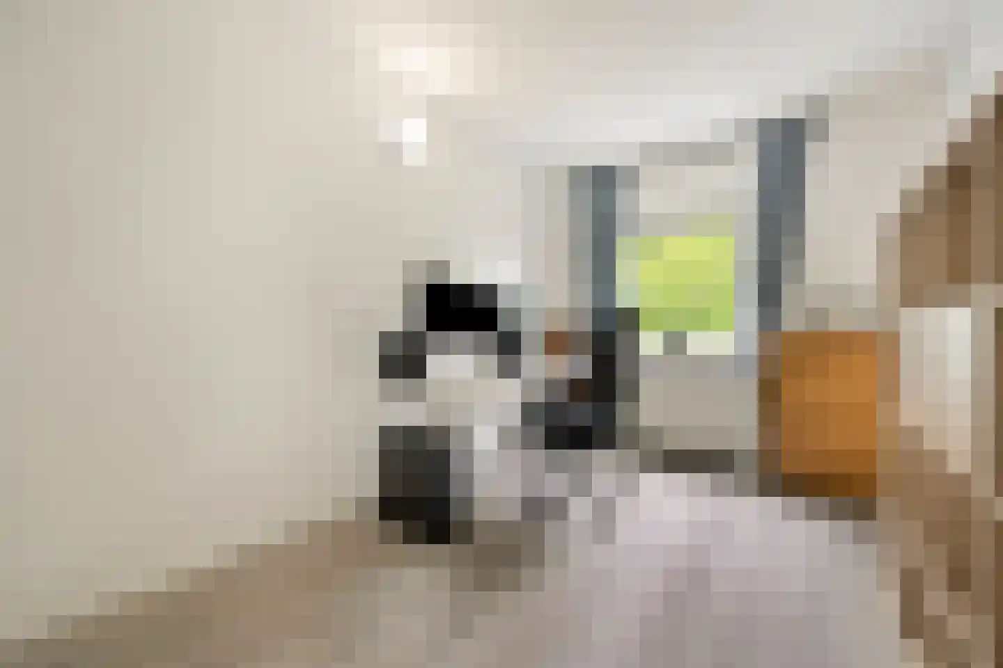 Foulkeslaan 45 Delft thumbnail 21
