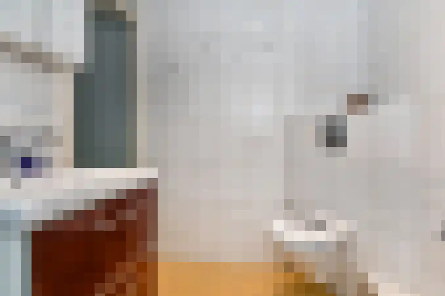 Foulkeslaan 86 Delft thumbnail 35