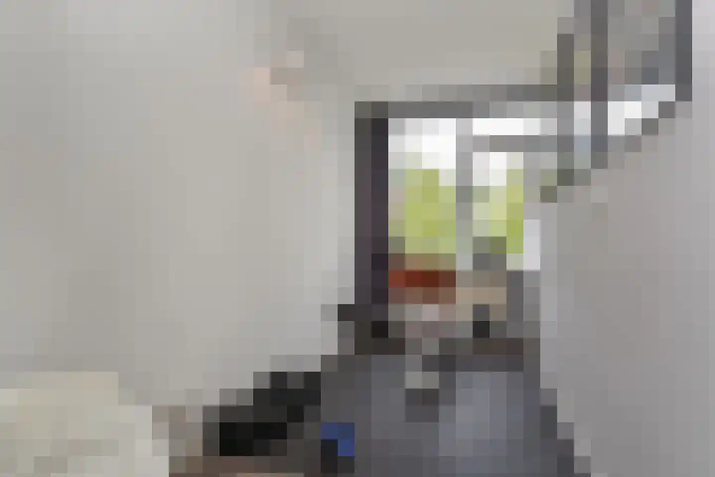 Foulkeslaan 86 Delft thumbnail 9