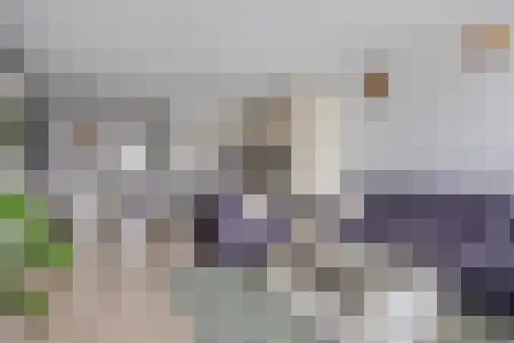 Foulkeslaan 91 Delft thumbnail 8