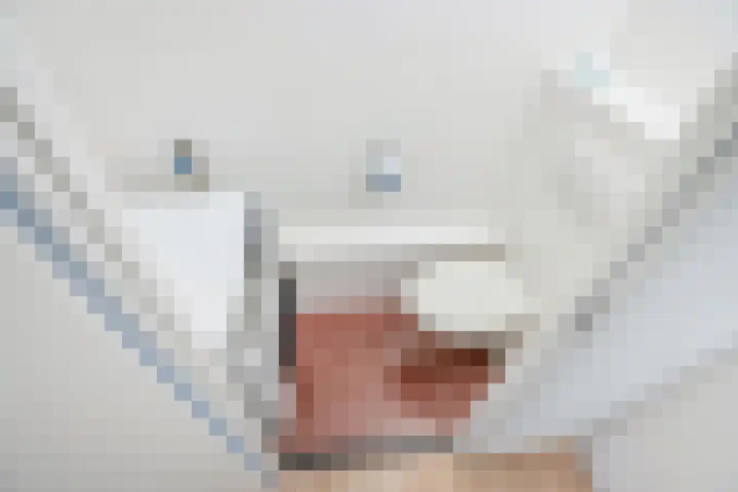 Foulkeslaan 93 Delft thumbnail 32