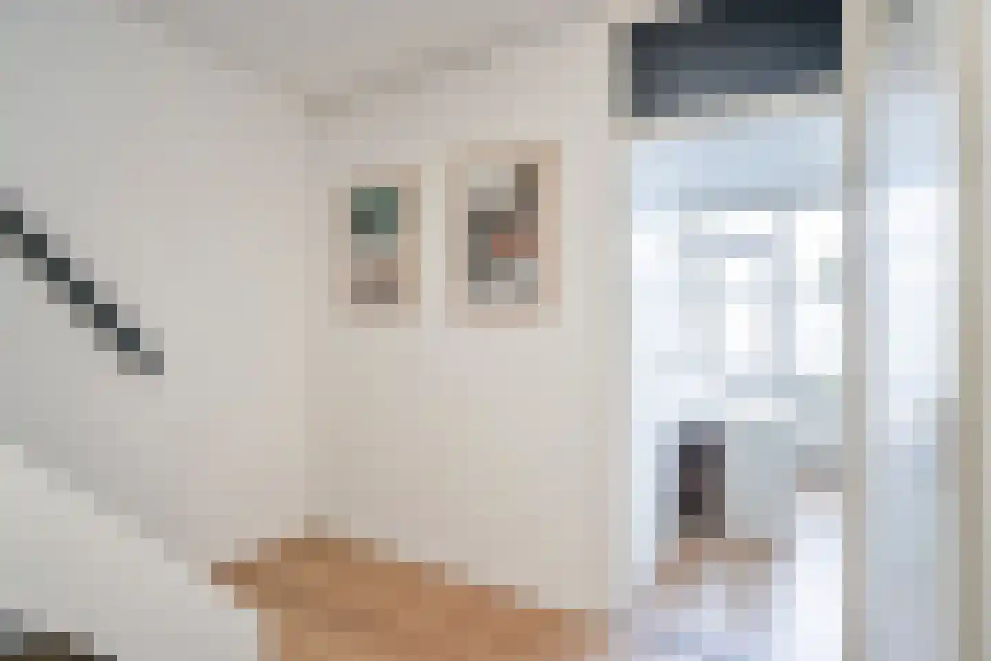 Foulkeslaan 93 Delft thumbnail 7
