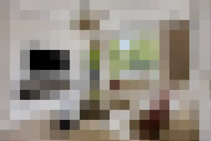 Foulkesstraat 22 Oss thumbnail 10