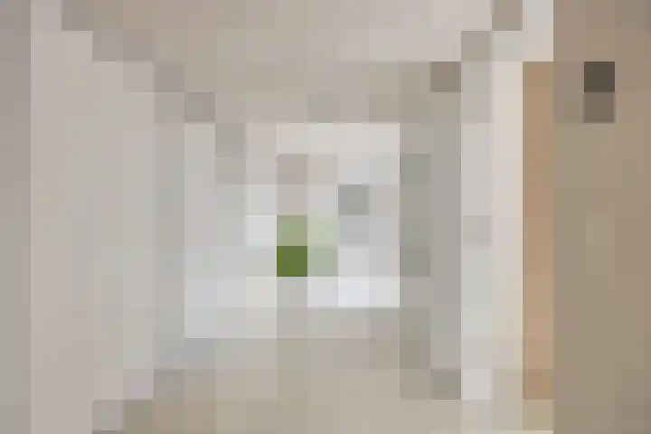 Foulkesstraat 22 Oss thumbnail 17