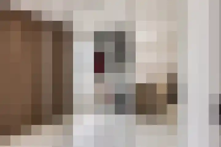 Foulkesstraat 22 Oss thumbnail 21