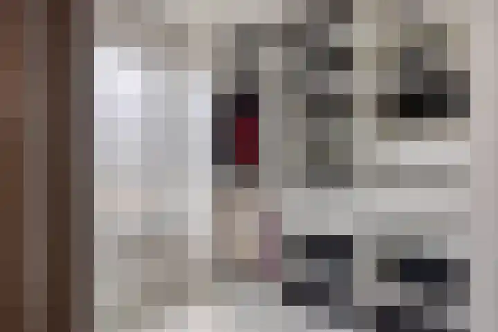 Foulkesstraat 22 Oss thumbnail 23