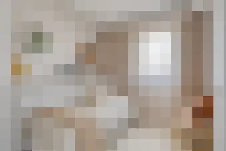 Foulkesstraat 22 Oss thumbnail 29