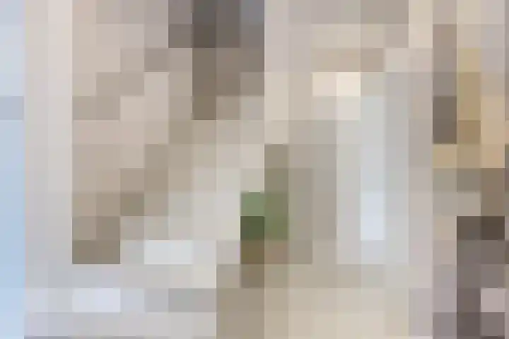 Foulkesstraat 22 Oss thumbnail 7
