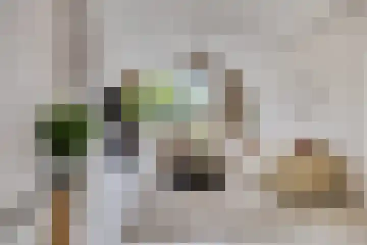 Foulkesstraat 22 Oss thumbnail 9