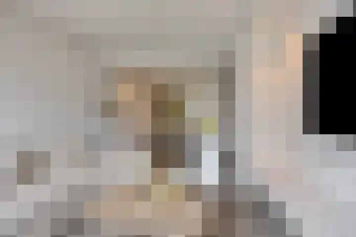 Foulkesstraat 30 Oss thumbnail 11