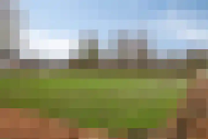 Foulkesstraat 30 Oss thumbnail 37