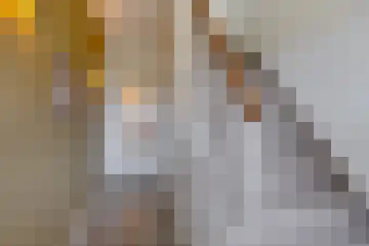 Foulkesstraat 30 Oss thumbnail 6