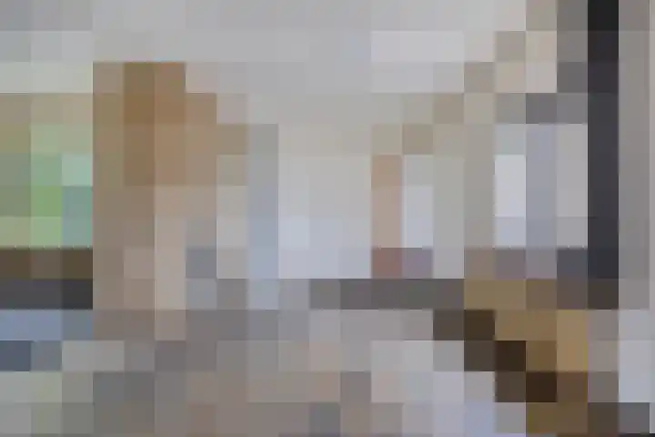 Foulkesstraat 6 Oss thumbnail 14