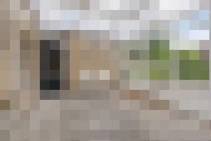 Foulkesstraat 6 Oss thumbnail 19