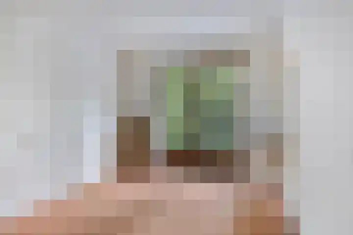Foulkesstraat 6 Oss thumbnail 24
