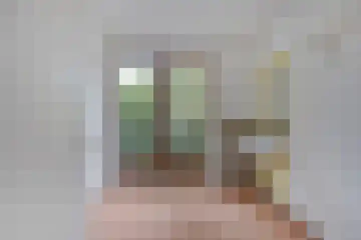 Foulkesstraat 6 Oss thumbnail 25