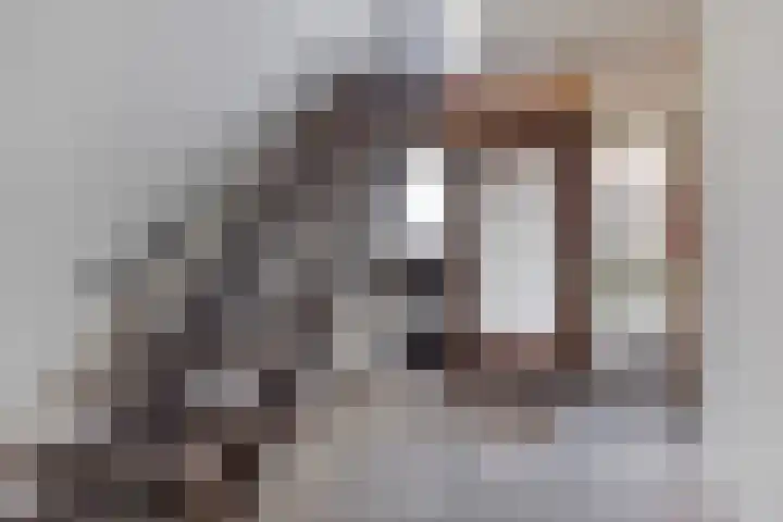 Foulkesstraat 6 Oss thumbnail 9