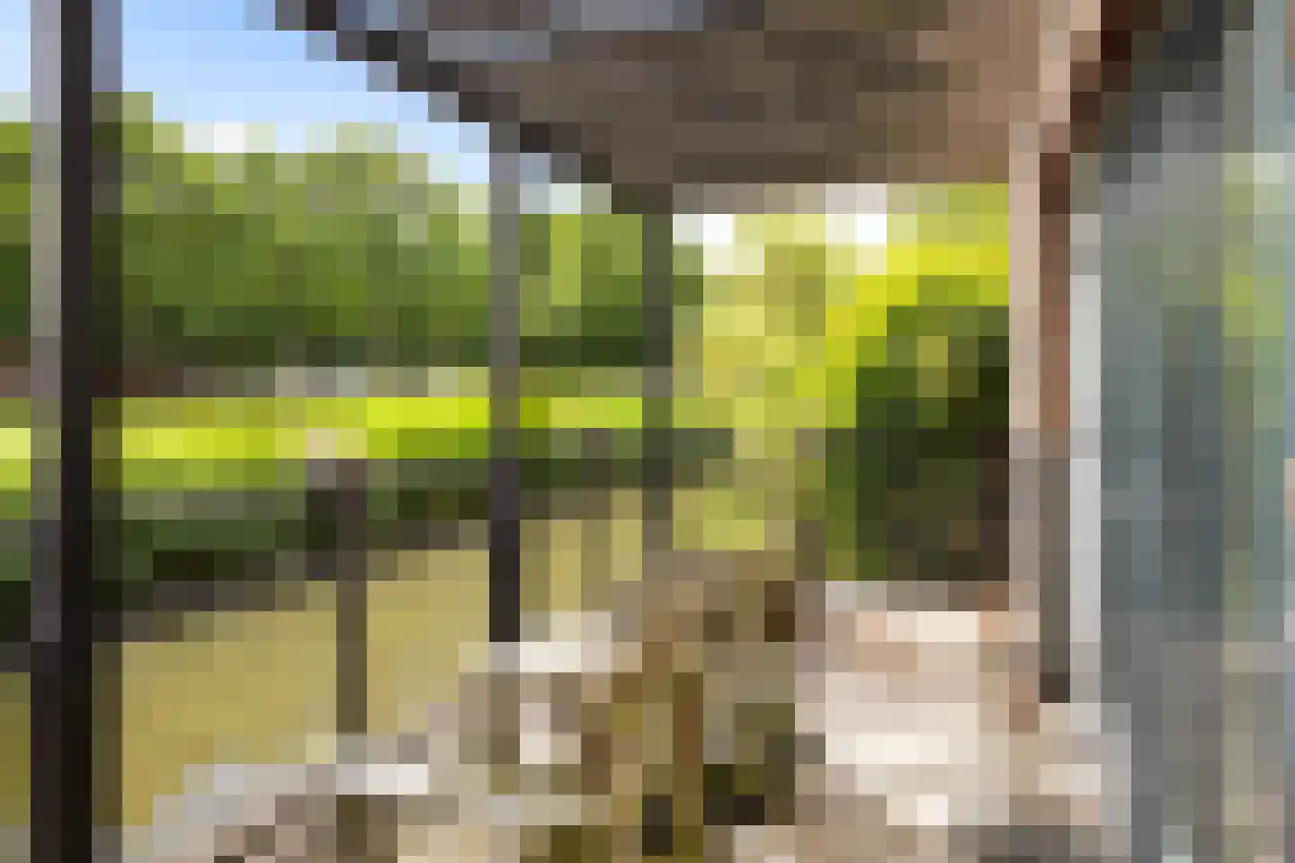Foxtrot 12 Nieuw-Vennep thumbnail 33