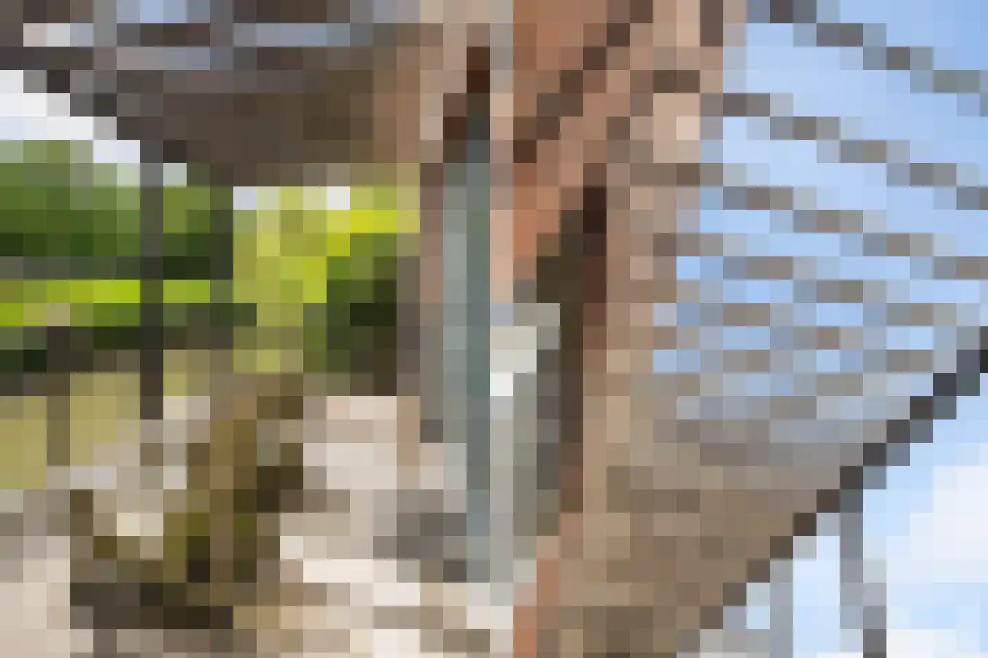 Foxtrot 12 Nieuw-Vennep thumbnail 34