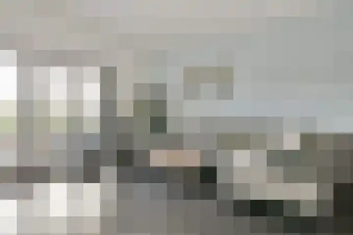 Foxtrot 2 Nieuw-Vennep thumbnail 12