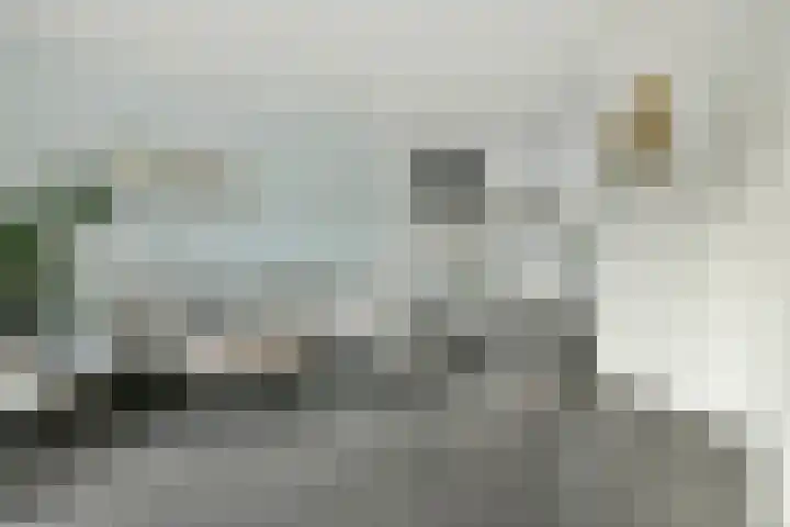 Foxtrot 2 Nieuw-Vennep thumbnail 14