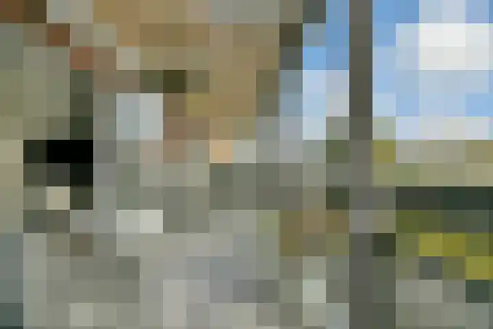 Foxtrot 2 Nieuw-Vennep thumbnail 17
