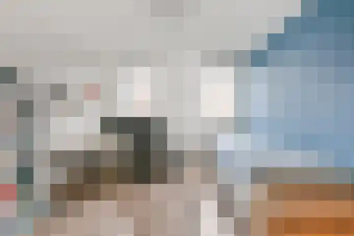 Foxtrot 2 Nieuw-Vennep thumbnail 23