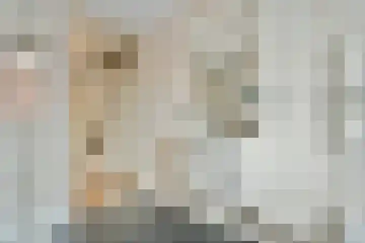 Foxtrot 2 Nieuw-Vennep thumbnail 25
