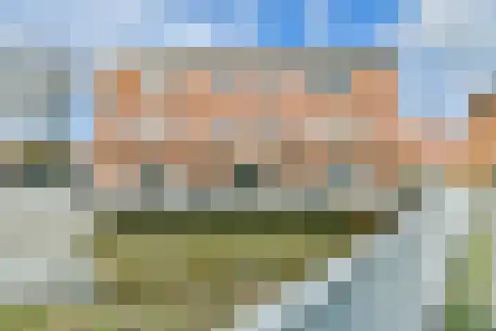 Foxtrot 2 Nieuw-Vennep thumbnail 32