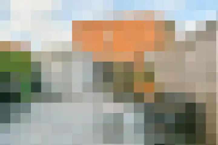 Foxtrot 2 Nieuw-Vennep thumbnail 34