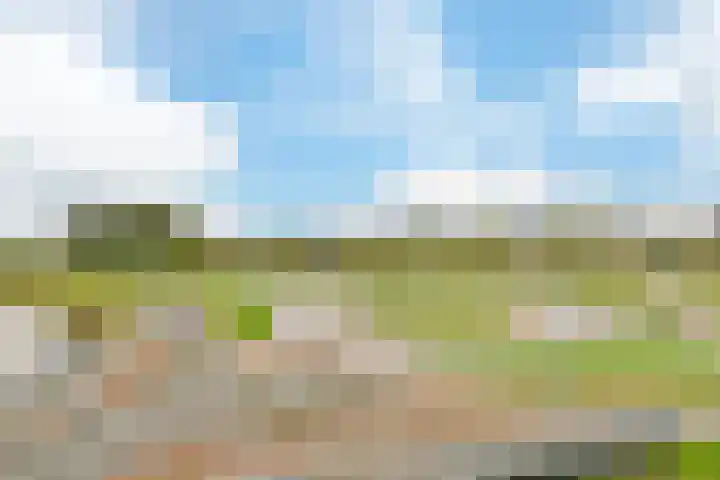 Foxtrot 2 Nieuw-Vennep thumbnail 35