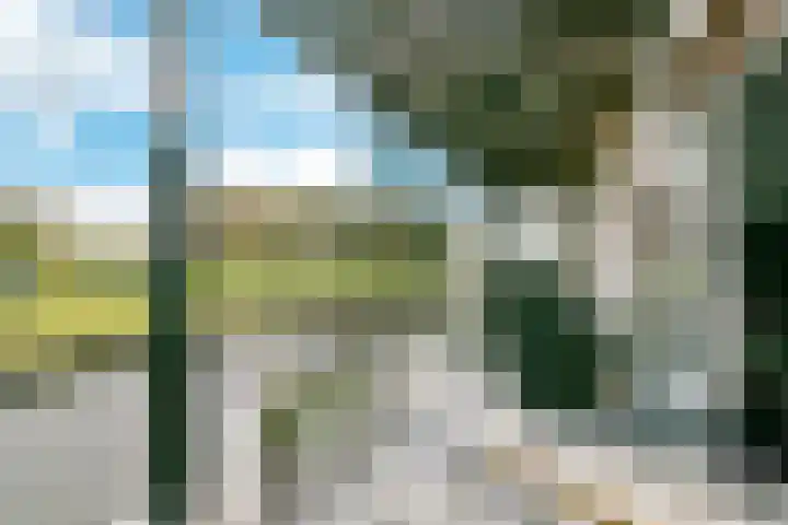 Foxtrot 2 Nieuw-Vennep thumbnail 4