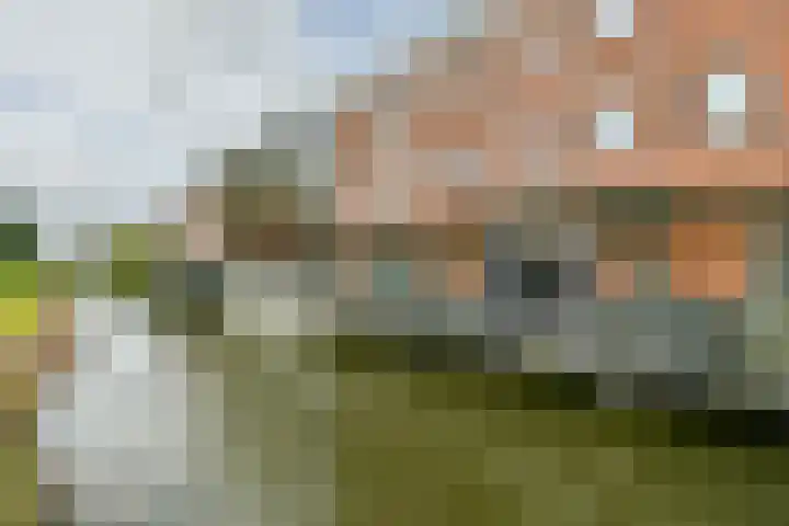 Foxtrot 2 Nieuw-Vennep thumbnail 5