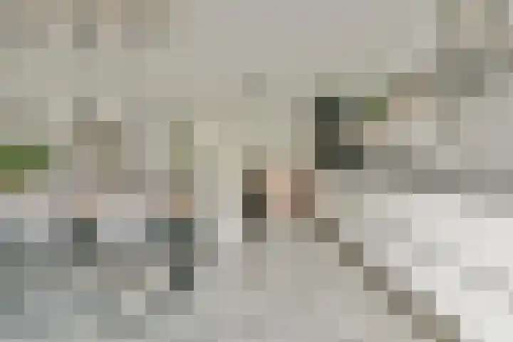 Foxtrot 2 Nieuw-Vennep thumbnail 7