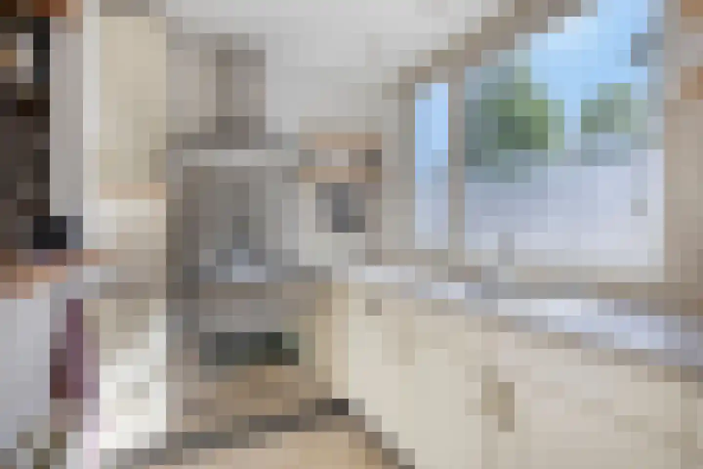 Foxtrotstraat 1 Venray thumbnail 17