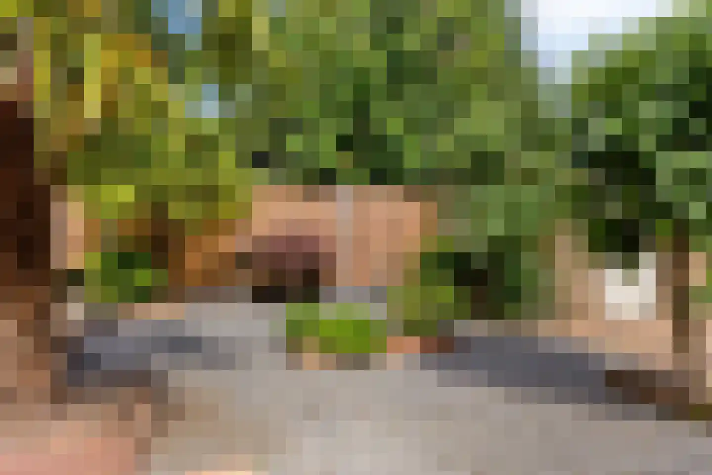 Foxtrotstraat 1 Venray thumbnail 48