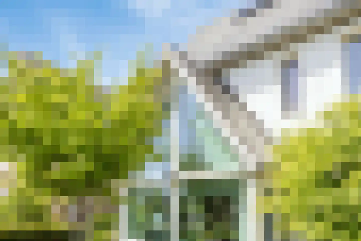 Foxtrotstraat 7 Apeldoorn thumbnail 49