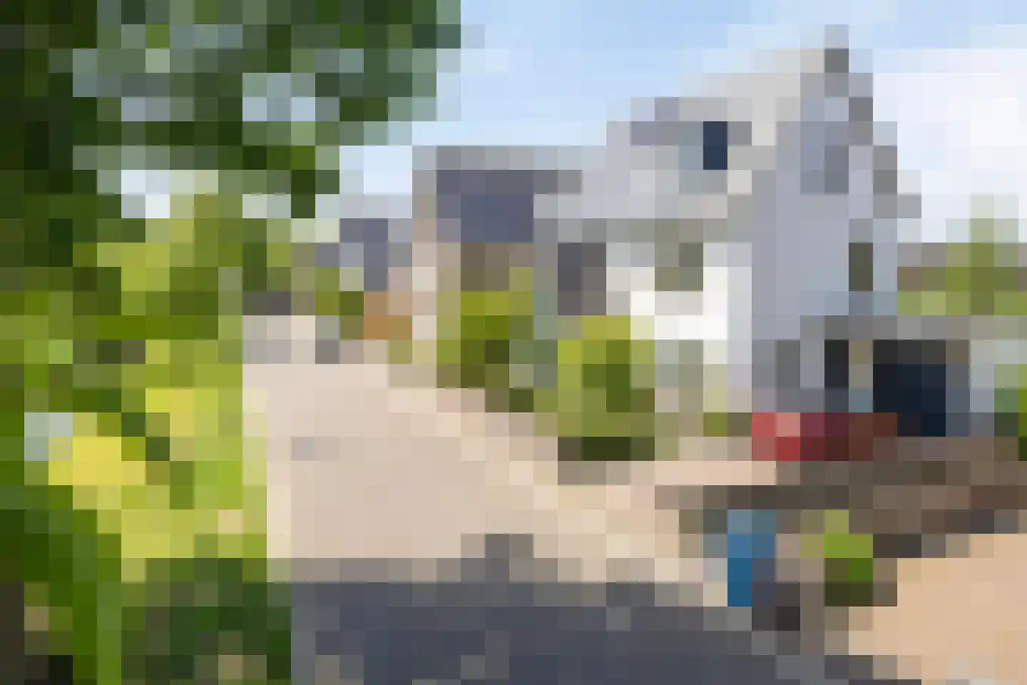 Foxtrotstraat 7 Apeldoorn thumbnail 50