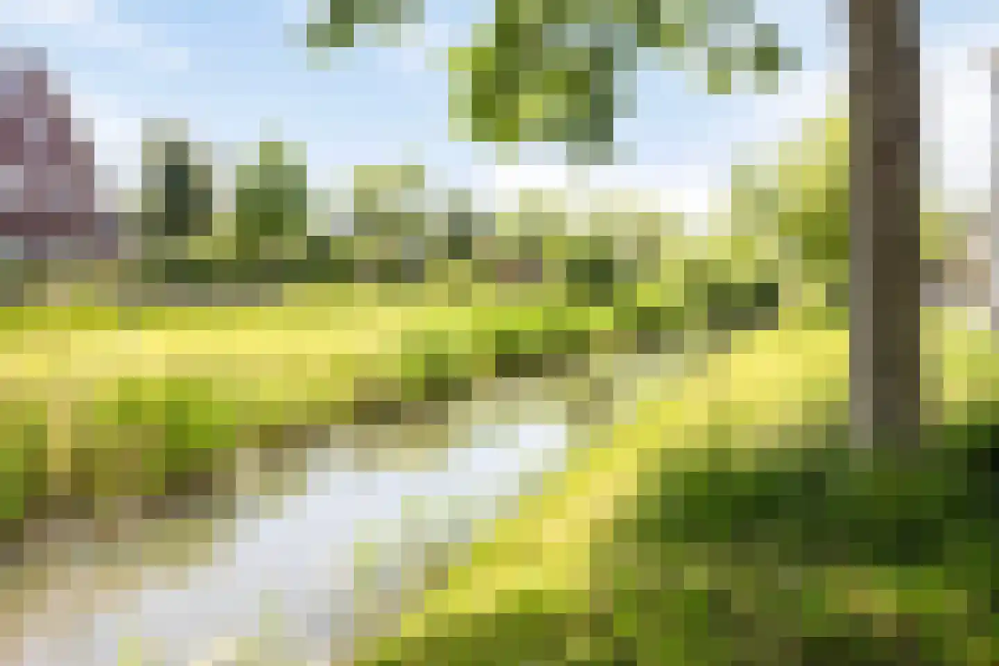 Foxtrotstraat 7 Apeldoorn thumbnail 54