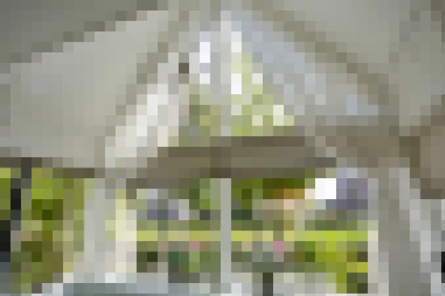 Foxtrotstraat 7 Apeldoorn thumbnail 7