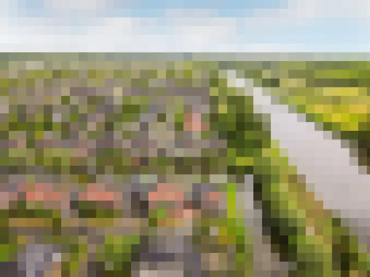 Fraeylemaborg 31 Lelystad thumbnail 48