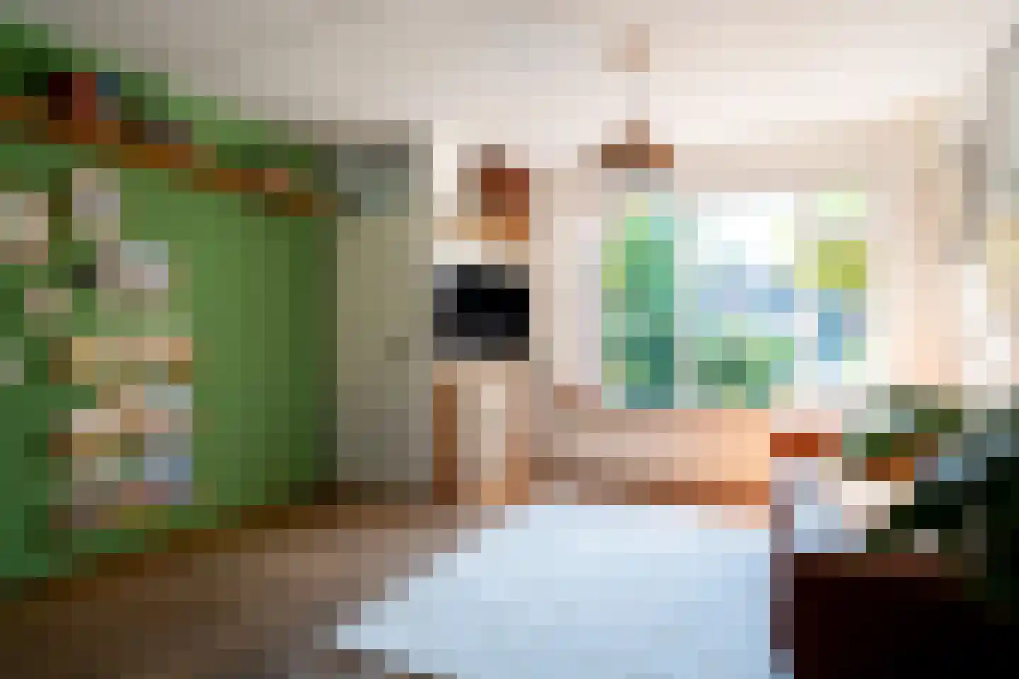 Framaheerd 1 Groningen thumbnail 14